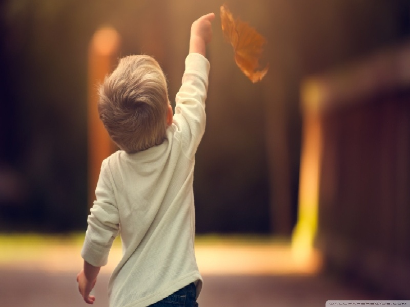 试管amh值27做试管老公哭了做试管累啊