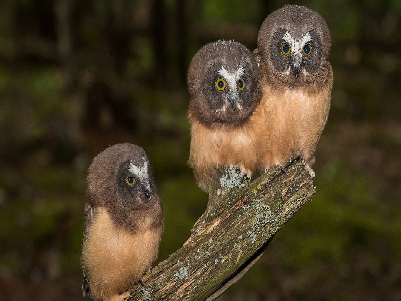 乌鲁木齐目前试管价格私立机构试管选择广东第三代试管费用